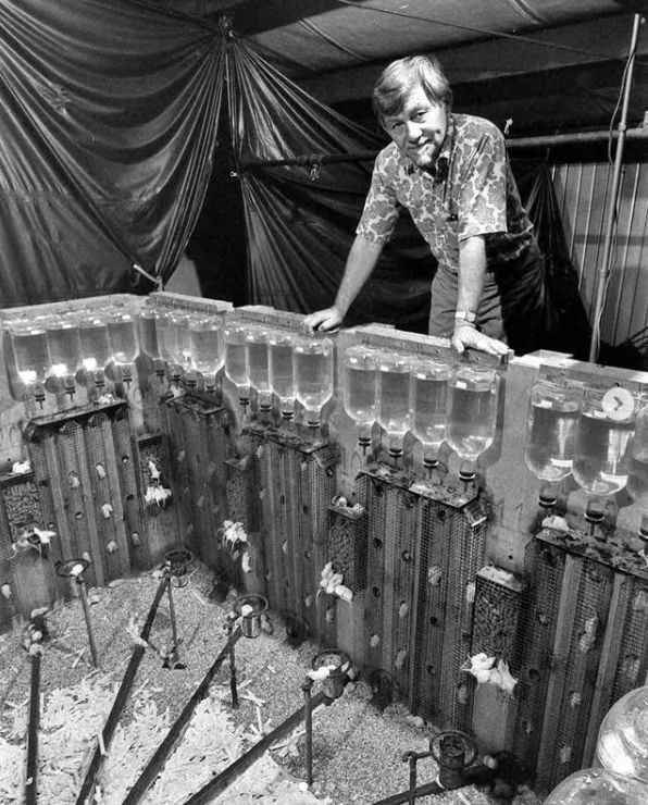 老鼠 25 号宇宙实验